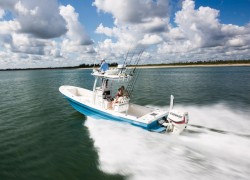 motor, popa, evinrude, outboard, g1, 300 hp, 250 hp, 225 hp, 200 hp, 175 hp, 150 hp, 130 kp, 115 hp, 90 hp, 75 hp, 60 hp, 50 hp, 40 hp, 30 hp, 25 hp, 15 hp, 9 hp, 6 hp, 3 hp